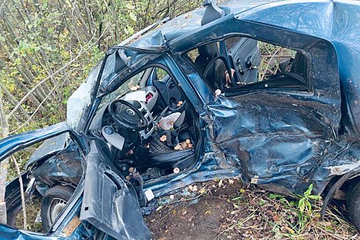 Под Ярославлем в ДТП два человека погибли, пятеро пострадали