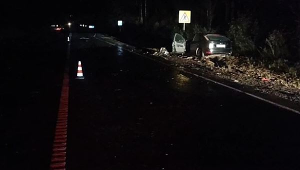 Два человека пострадали в ДТП с грузовиком в Нижегородской области