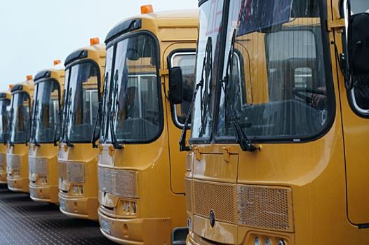 В Самарской области установили 20 дорожных знаков вдоль маршрутов школьных автобусов