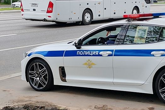 Водитель погиб после наезда на корову в Рязанском районе