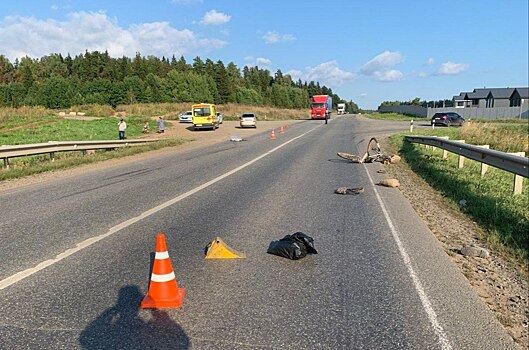 В Удмуртии пожилой велосипедист погиб в результате наезда автомобиля